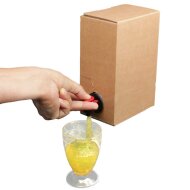 Perforjuice bag in box.mance and requirements for chemical liquid packaging bags